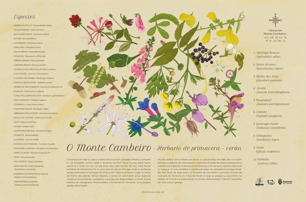 Herbario de Primavera